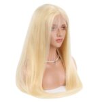 Full-lace-wig-real-indian-hair-silky-straight-color-613-LWM-CH424-2-1.jpg